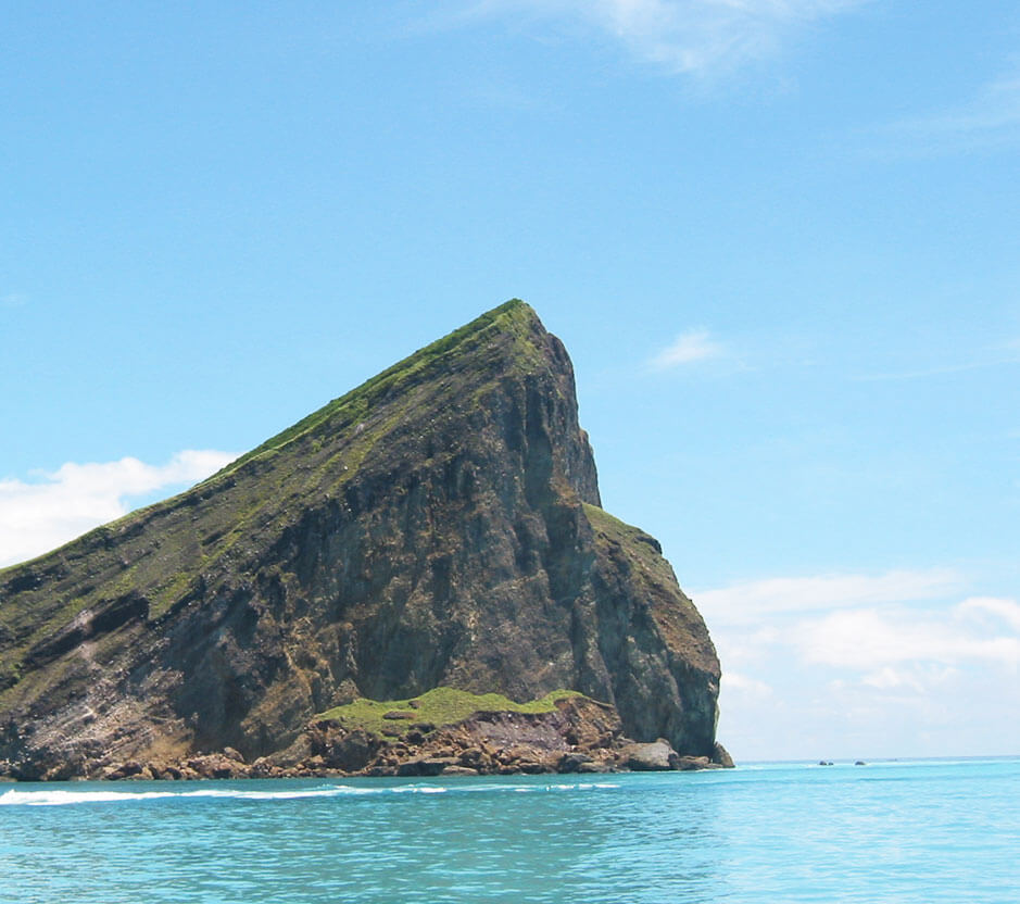 龜山島賞鯨